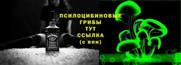 дмт Алзамай
