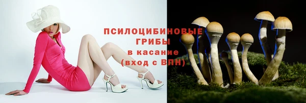 стафф Алексин