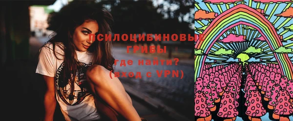 дмт Алзамай