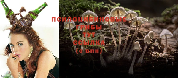 дмт Алзамай