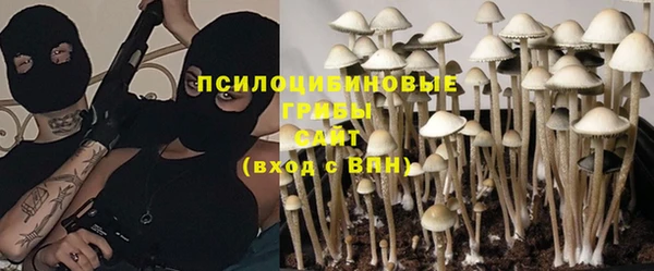 дмт Алзамай